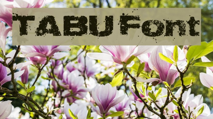 TABU Font examples