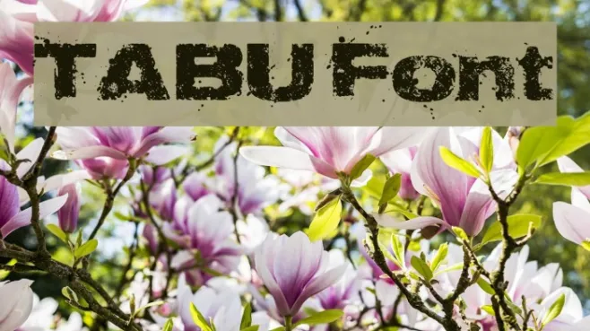 TABU Example 2