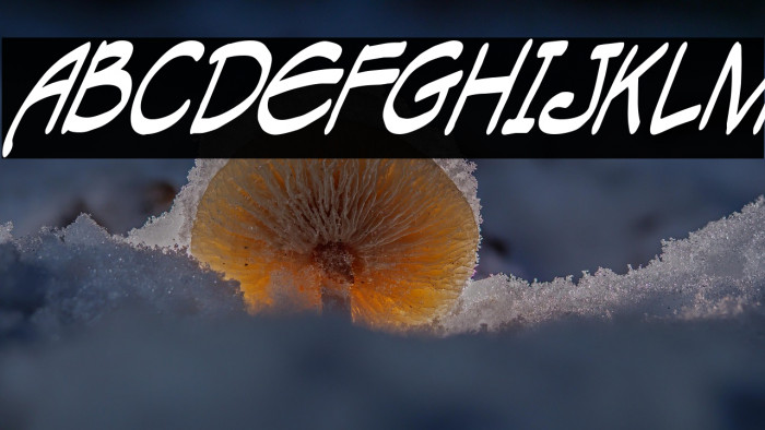 TAGACNI Шрифта examples