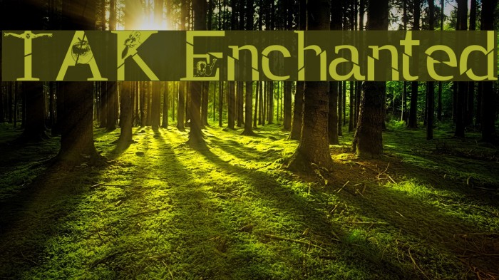 TAK Enchanted Font examples
