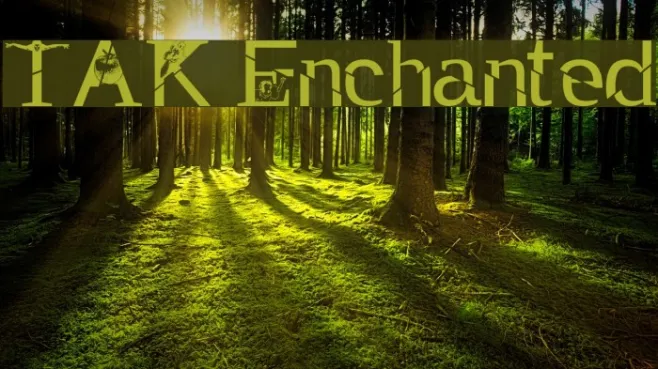 TAK Enchanted Example 2