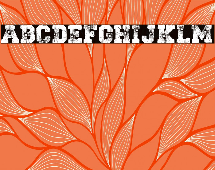 TAKE A SHOT PERSONAL USE Regular Example 1