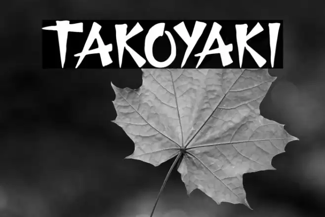 TAKOYAKI Шрифта examples