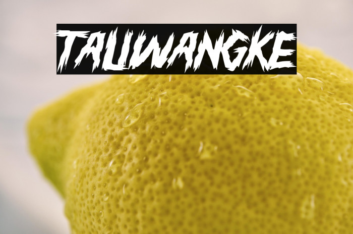 TALIWANGKE Example 2