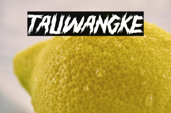 TALIWANGKE Example 2