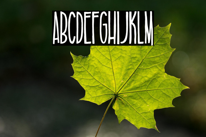 TALL & SLIM Example 2