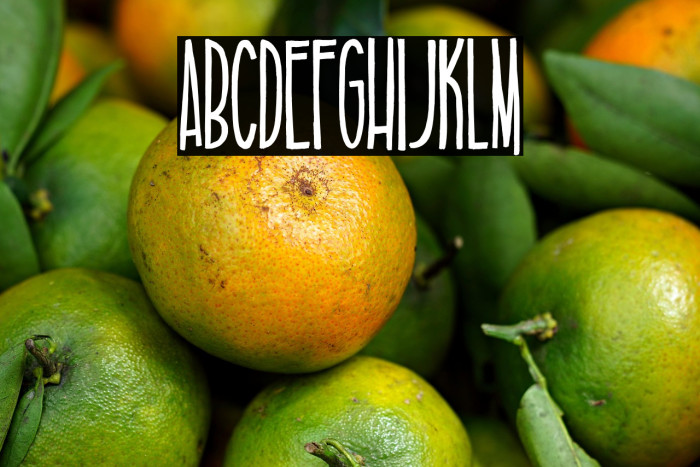 TALL & SLIM Example 3