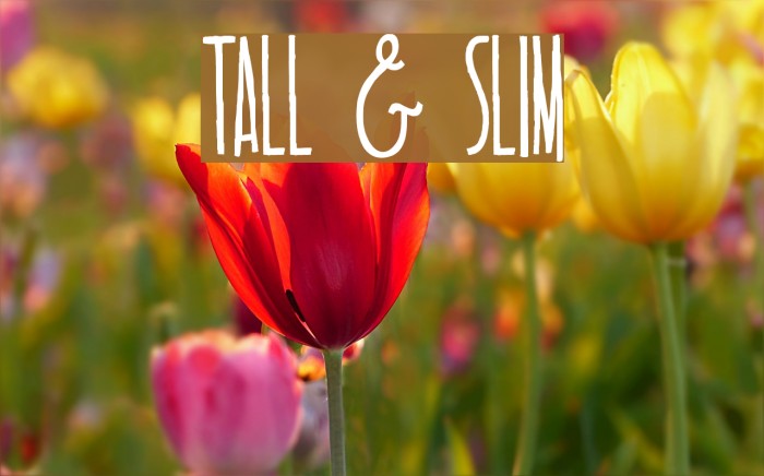 TALL & SLIM Example 1