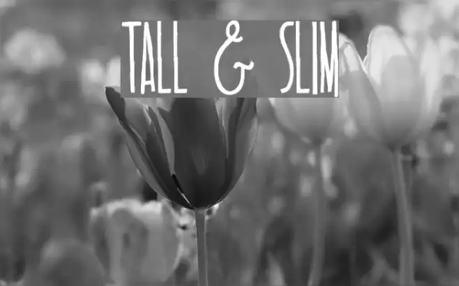 TALL & SLIM Font examples