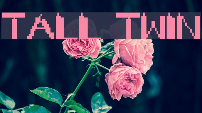 TALL TWIN Schriftart examples