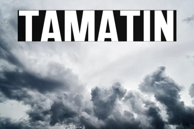 TAMATIN Example 1