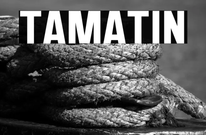 TAMATIN Example 2