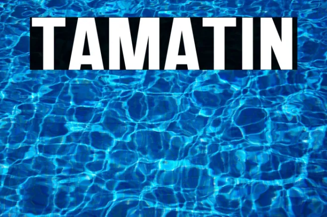 TAMATIN Example 3