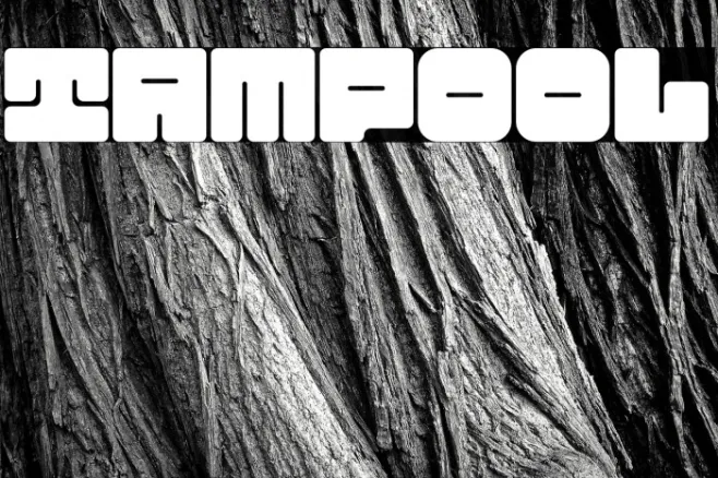 TAMPOOL Example 1
