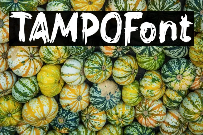 TAMPO Example 1