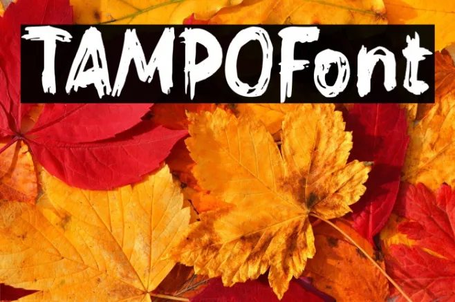 TAMPO Example 2