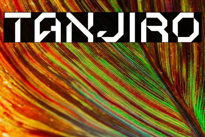TANJIRO Example 3