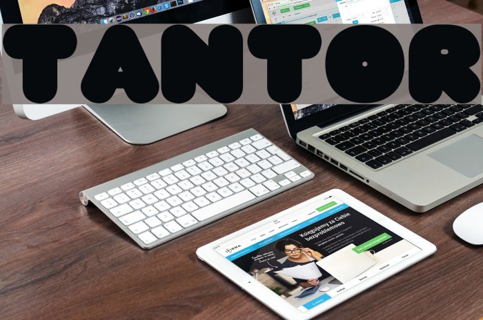 TANTOR Font examples