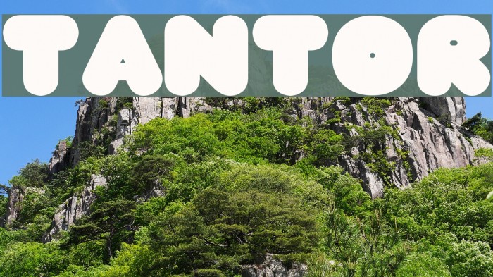 TANTOR Font examples