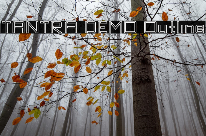 TANTRA DEMO Outline Example 1
