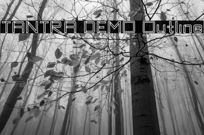 TANTRA DEMO Outline Font examples