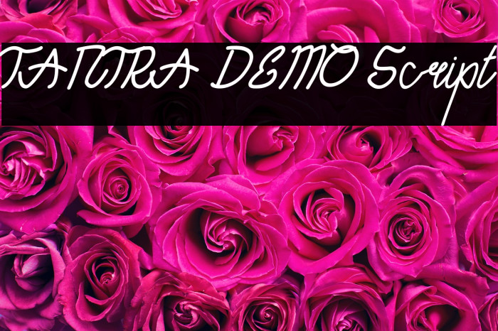 TANTRA DEMO Script Example 1