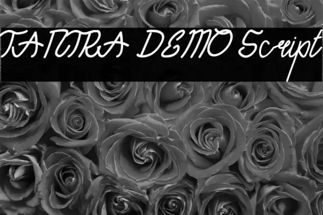 TANTRA DEMO Script Font examples