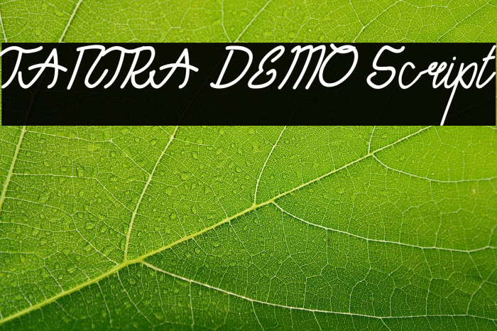 TANTRA DEMO Script Example 2