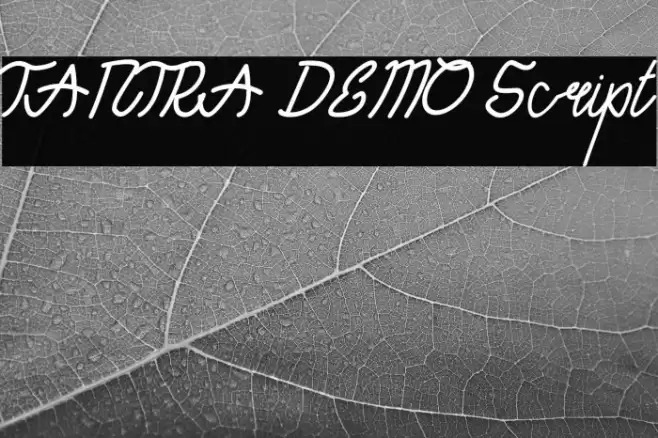 TANTRA DEMO Script Font examples
