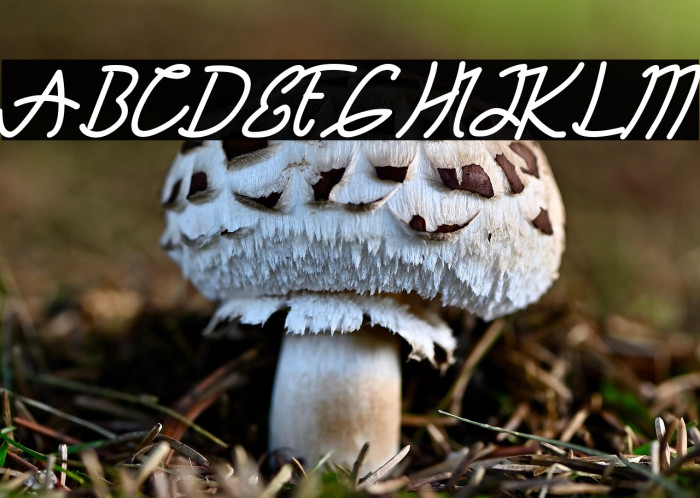 TANTRA Script Example 3