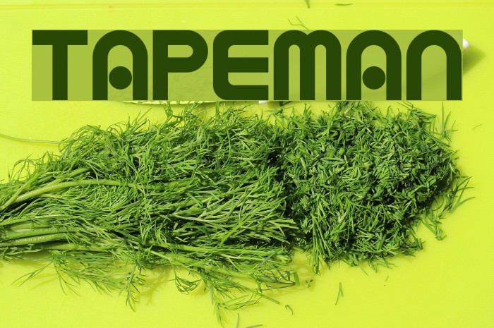 TAPEMAN Font examples