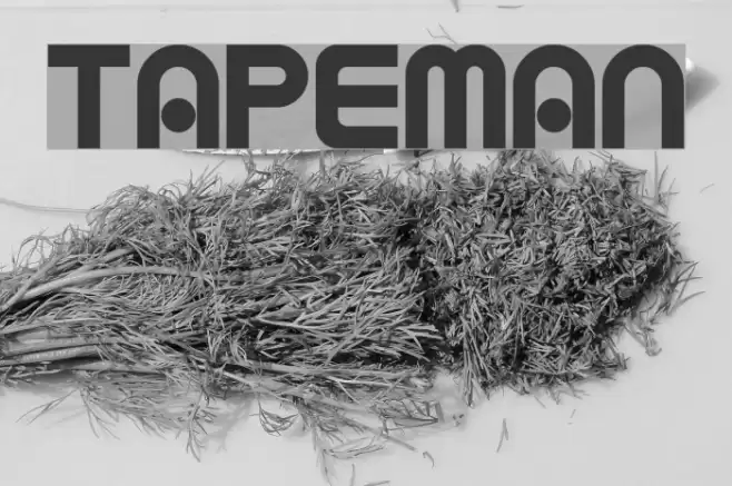 TAPEMAN Fuentes examples