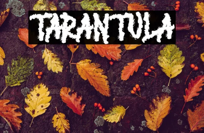 TARANTULA Example 1