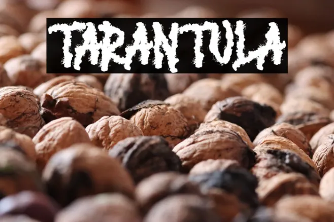 TARANTULA Example 3