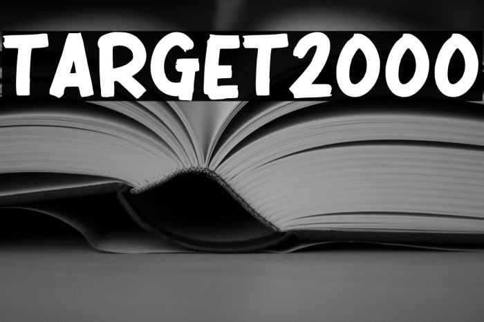 TARGET 2000 Example 1
