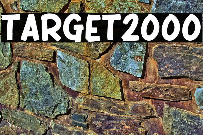 TARGET 2000 Example 2