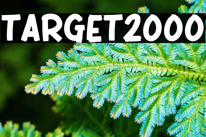TARGET 2000 Example 3