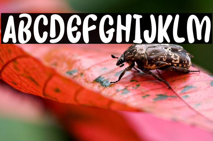 TARIK SES! Example 1