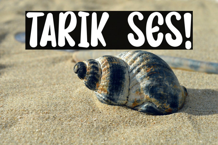 TARIK SES! Example 1