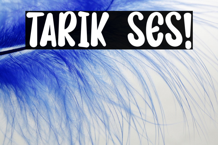 TARIK SES! Example 2