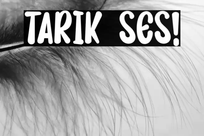 TARIK SES! Font examples