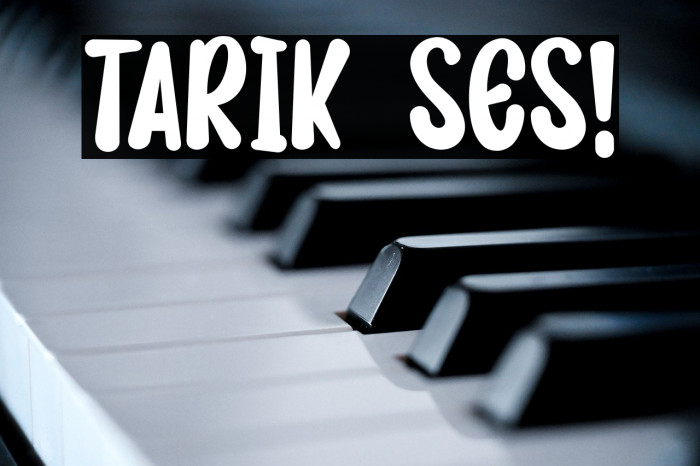 TARIK SES! Example 3