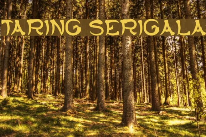 TARING SERIGALA Example 2