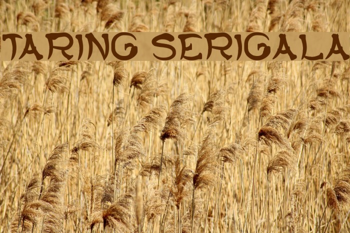 TARING SERIGALA Font examples