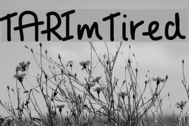 TARImTired Font examples