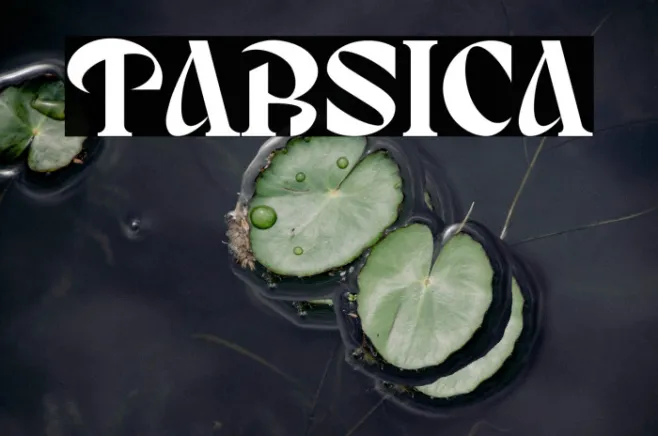 TARSICA Example 2