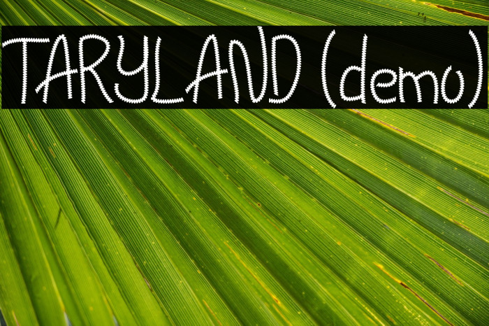 TARYLAND (demo) Example 1