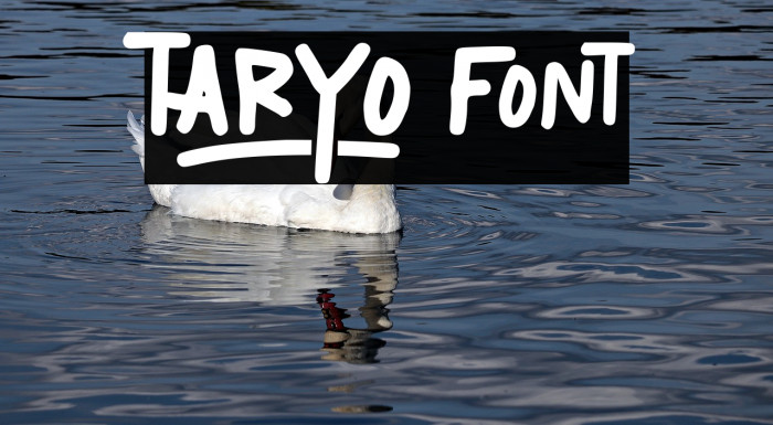 TARYO Font examples