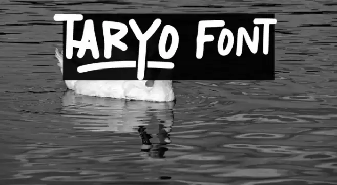 TARYO Шрифта examples
