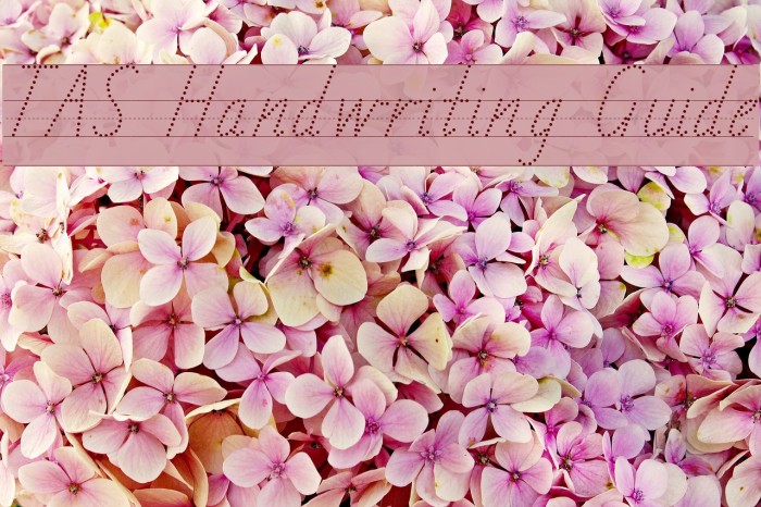 TAS Handwriting Guide Font examples